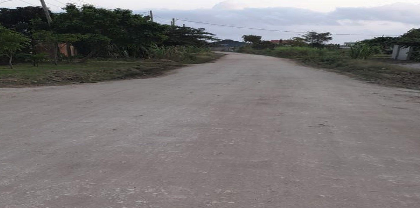 A wide unsealed gravel road running straight between roadside trees and vegetation under an overcast sky